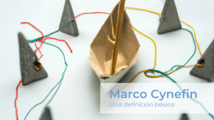 Marco Cynefin